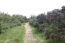 Sentier des douaniers entre les Dalles